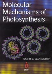 Molecular Mechanisms of Photosynthesis