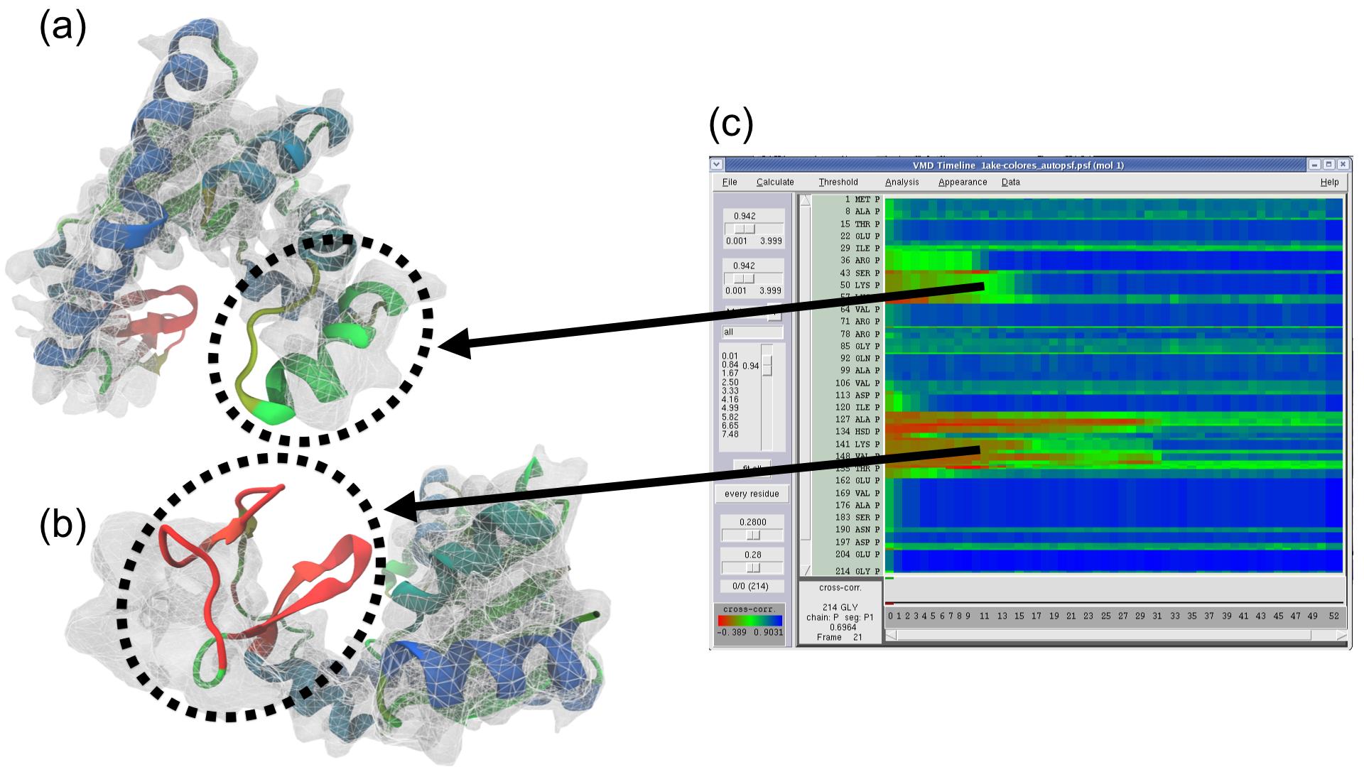 Timeline Correlation