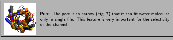 % latex2html id marker 1568
\fbox{
\begin{minipage}{.2\textwidth}
\includegra...
...ature is very important for the
selectivity of the channel. }
\end{minipage} }