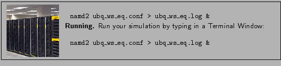 \fbox{
\begin{minipage}{.2\textwidth}
\includegraphics[width=2.3 cm, height=2....
...eq.conf > ubq\_ws\_eq.log \&
\vspace{0.1cm}
\end{tabular}
}
\end{minipage} }