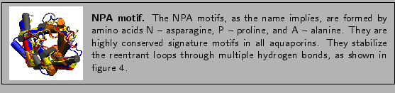 % latex2html id marker 1441
\fbox{
\begin{minipage}{.2\textwidth}
\includegra...
...ultiple hydrogen bonds, as shown in
figure~\ref{fig:repnpa}.}
\end{minipage} }