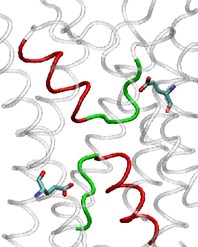 \begin{figure}\begin{center}
\par
\par
\latex{
\includegraphics[width=2 in]{pictures/repglu}
}
\end{center}\vspace{-0.7cm}\end{figure}