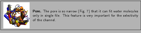 % latex2html id marker 1537
\fbox{
\begin{minipage}{.2\textwidth}
\includegra...
...ature is very important for the
selectivity of the channel. }
\end{minipage} }