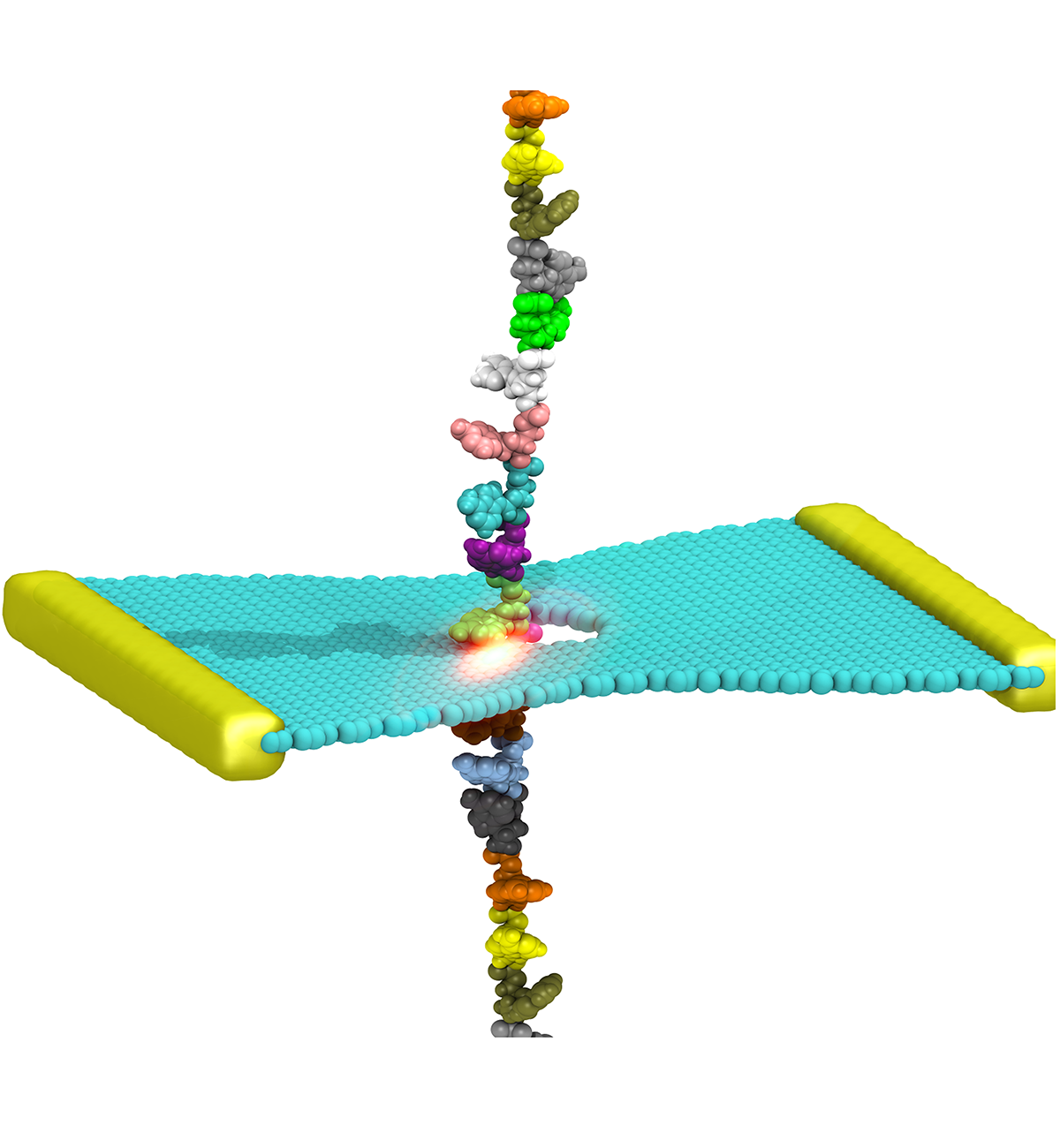 DNA graphene